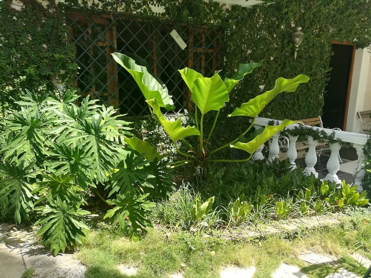 Villa Carolina Bed And Breakfast Puerto Plata Couette-café