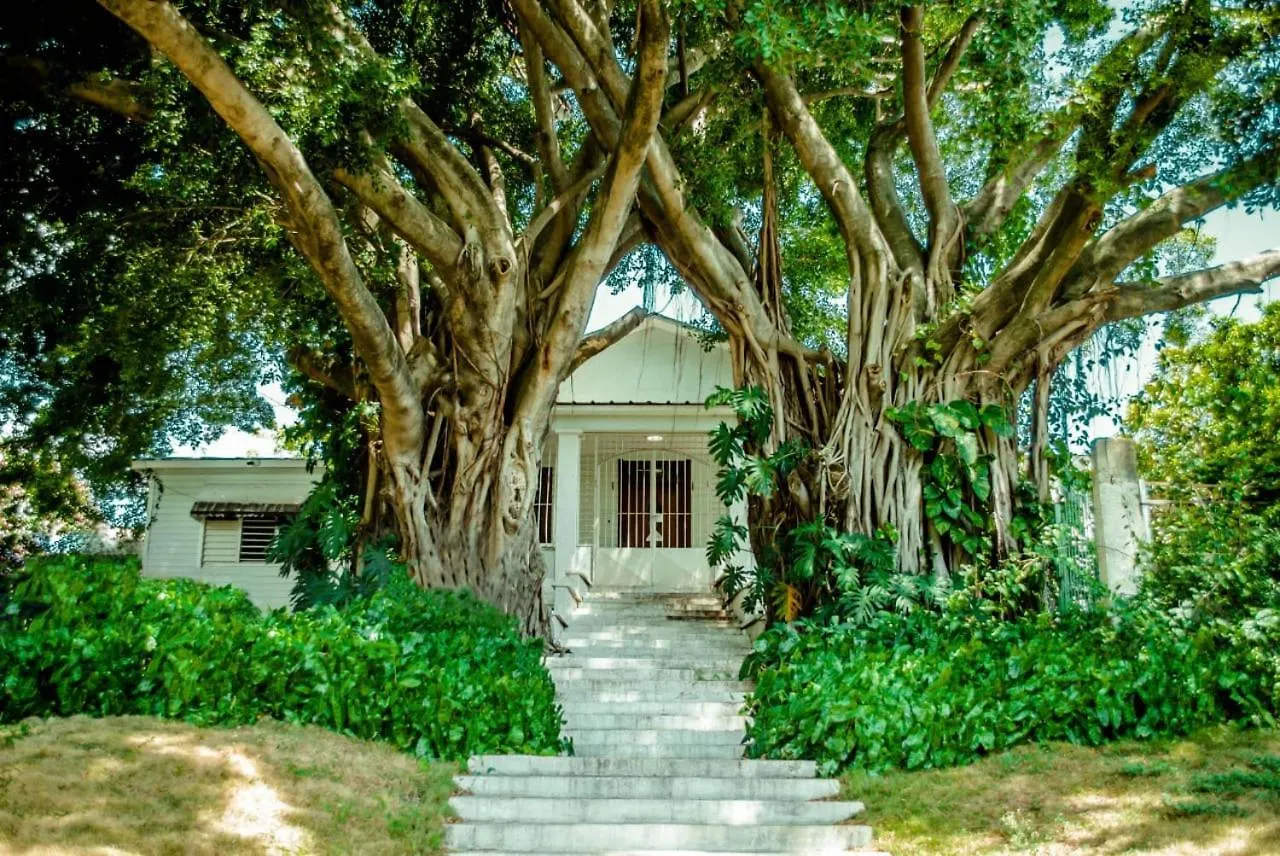 Villa Carolina Bed And Breakfast プエルト・プラタ ベッド・アンド・ブレックファスト